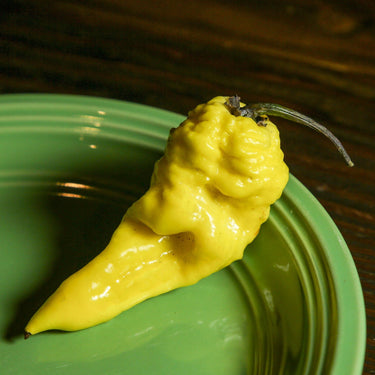 Yellow Fever Pepper Seeds - The Pepper Pantry (Formerly Marie Sharp's)